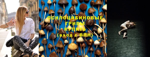 а пвп мука Иннополис