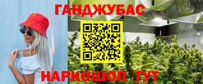 spice Гусиноозёрск