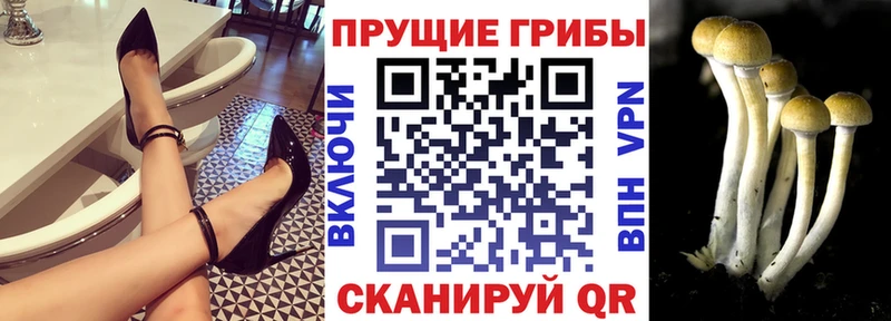 Галлюциногенные грибы мицелий  Ангарск 