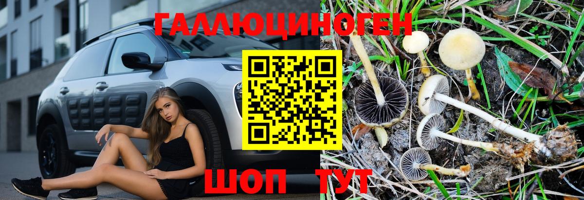 Галлюциногенные грибы MAGIC MUSHROOMS Ангарск