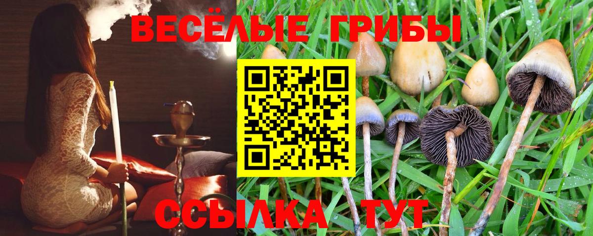 купить наркотики цена  Ангарск  Псилоцибиновые грибы MAGIC MUSHROOMS 