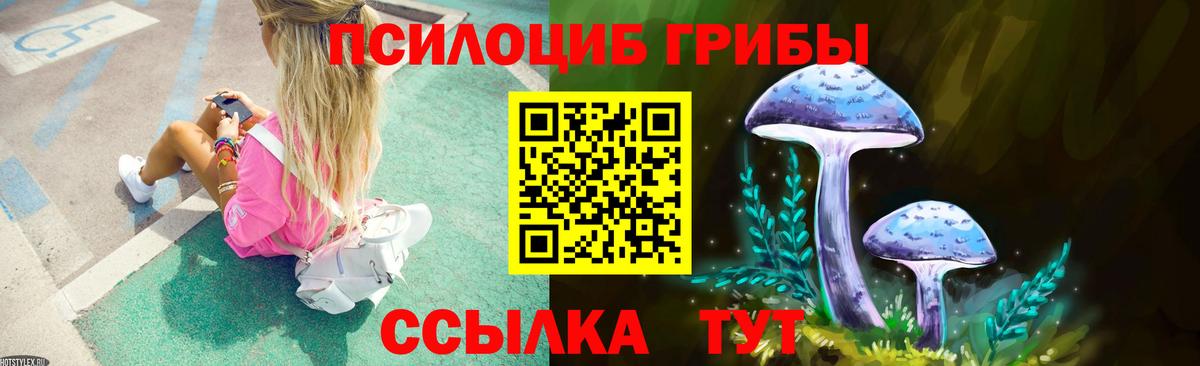 Ангарск  где продают наркотики  Вход с VPN  Псилоцибиновые грибы прущие грибы 
