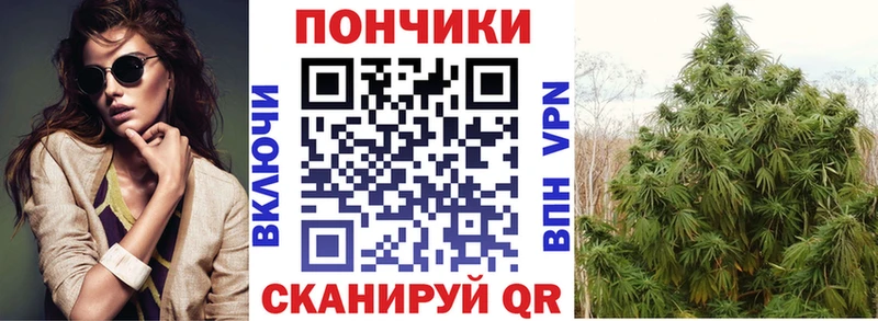 Бошки Шишки марихуана Ангарск